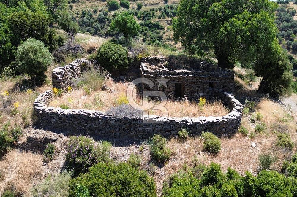 Karaburun Sarpıncık'ta 9.125 m² Satılık Tarla