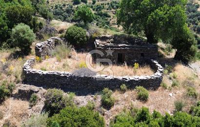 Karaburun Sarpıncık'ta 9.125 m² Satılık Tarla