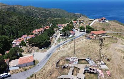 Karaburun Sarpıncık Köyünde Deniz ve Doğa Manzaralı Tarla