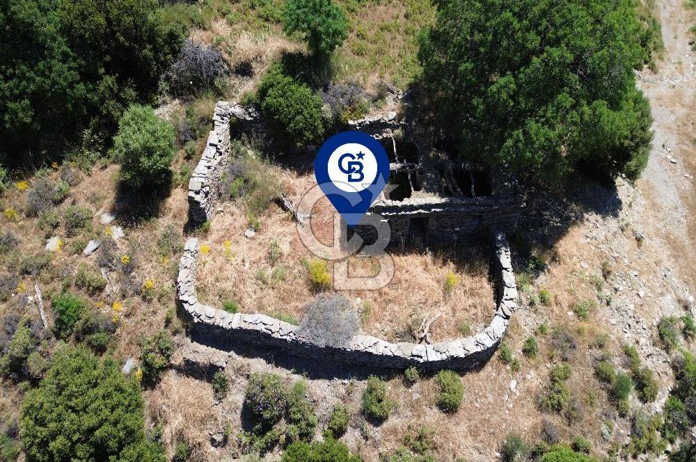 Karaburun Sarpıncık'ta 9.125 m² Satılık Tarla