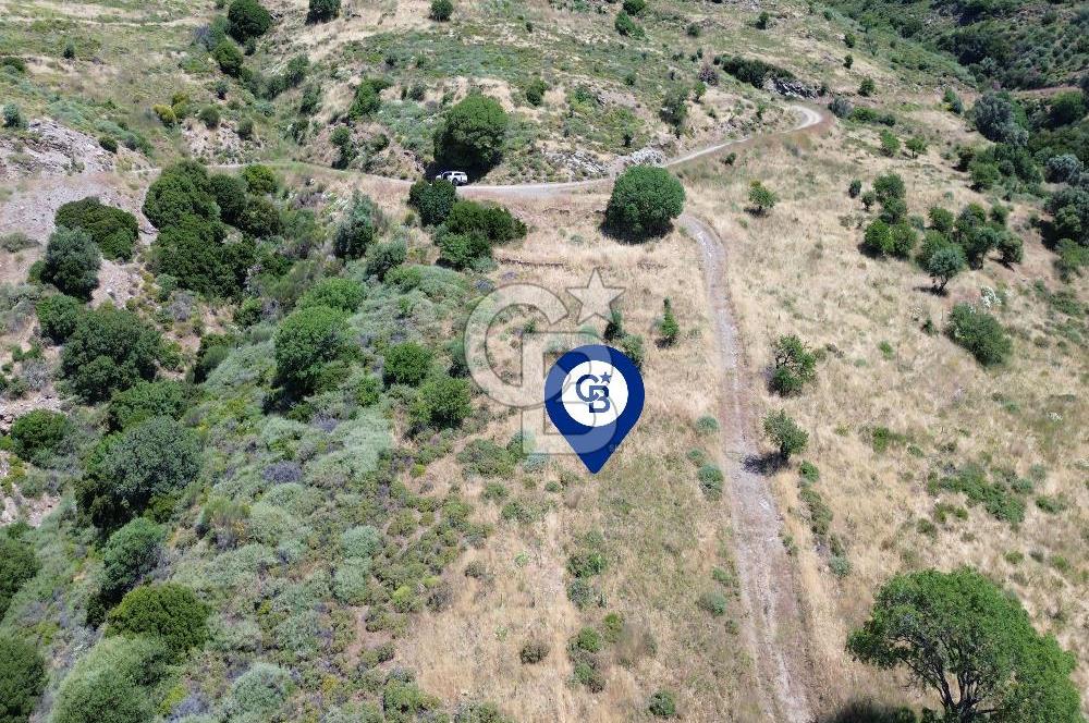 Karaburun Sarpıncık'ta 9.125 m² Satılık Tarla