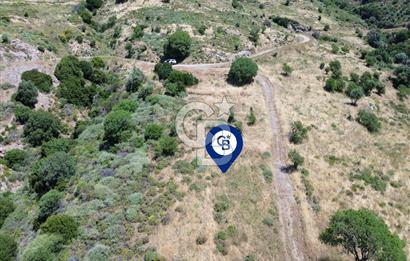 Karaburun Sarpıncık'ta 9.125 m² Satılık Tarla