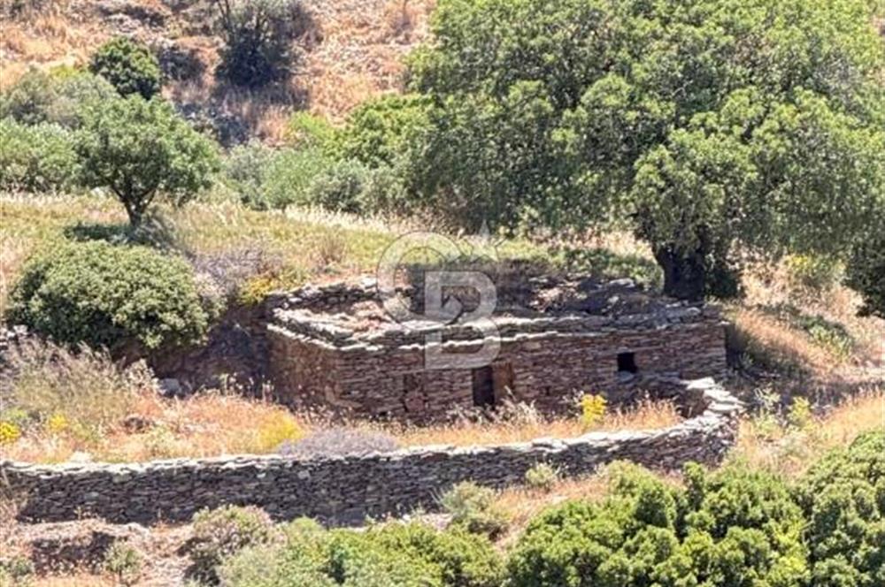 Karaburun Sarpıncık'ta 9.125 m² Satılık Tarla