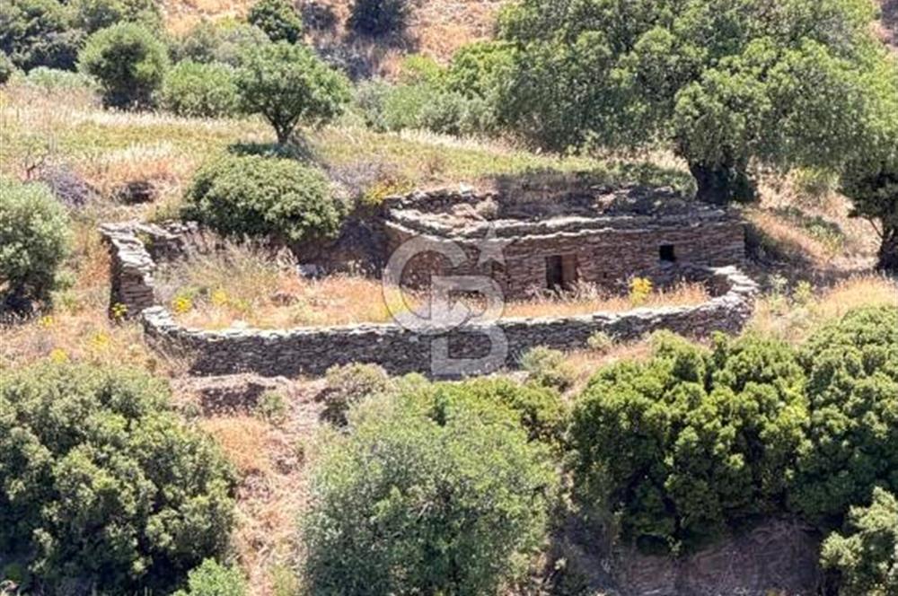 Karaburun Sarpıncık'ta 9.125 m² Satılık Tarla