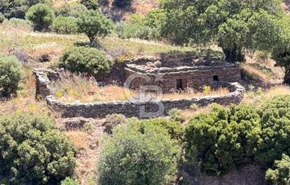 Karaburun Sarpıncık'ta 9.125 m² Satılık Tarla
