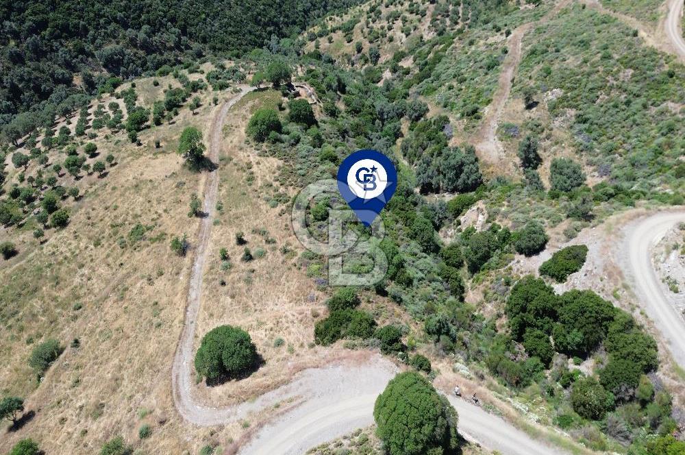 Karaburun Sarpıncık'ta 9.125 m² Satılık Tarla