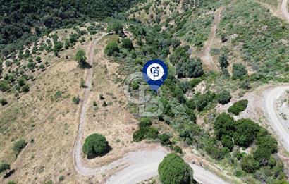 Karaburun Sarpıncık'ta 9.125 m² Satılık Tarla