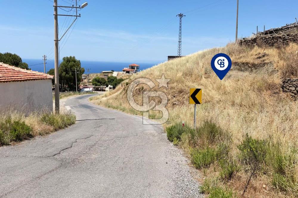 Karaburun Sarpıncık Köyünde Deniz ve Doğa Manzaralı Tarla