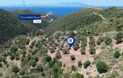 Sarpıncık'ta 5437 m² Yatırımlık Tarla&Üzüm Bağı