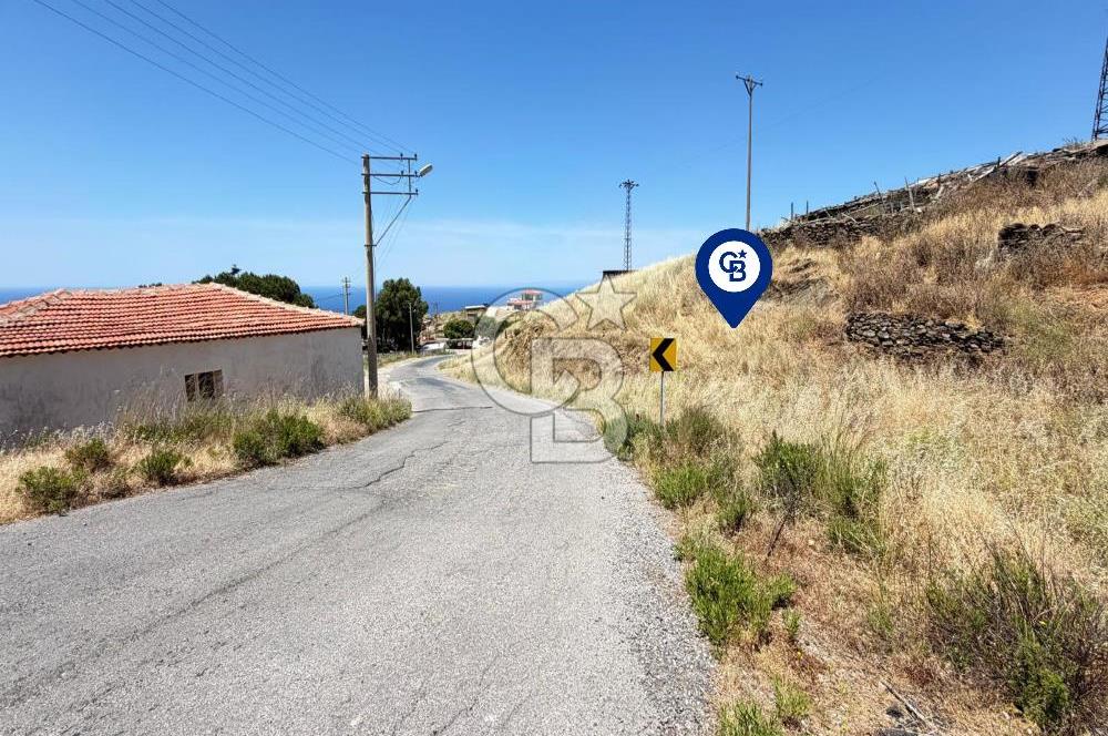 Karaburun Sarpıncık Köyünde Deniz ve Doğa Manzaralı Tarla