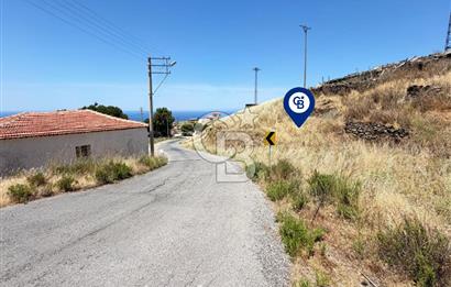 Karaburun Sarpıncık Köyünde Deniz ve Doğa Manzaralı Tarla