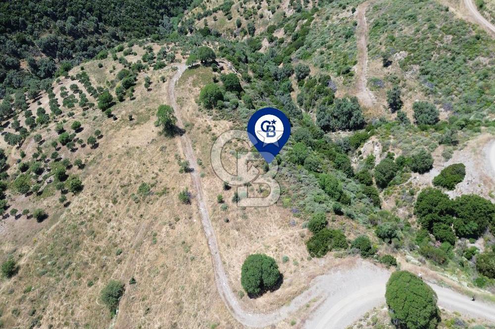 Karaburun Sarpıncık'ta 9.125 m² Satılık Tarla