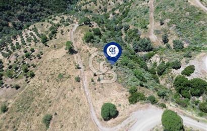 Karaburun Sarpıncık'ta 9.125 m² Satılık Tarla