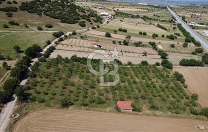 MANİSA KULA ZAFERİYE’DE 9217 m² BADEM BAHÇESİ