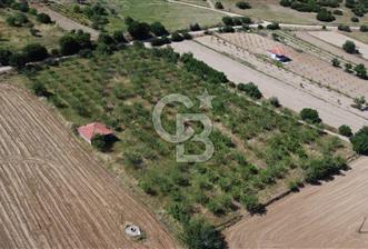 MANİSA KULA ZAFERİYE’DE 9217 m² BADEM BAHÇESİ - 10 - 351710