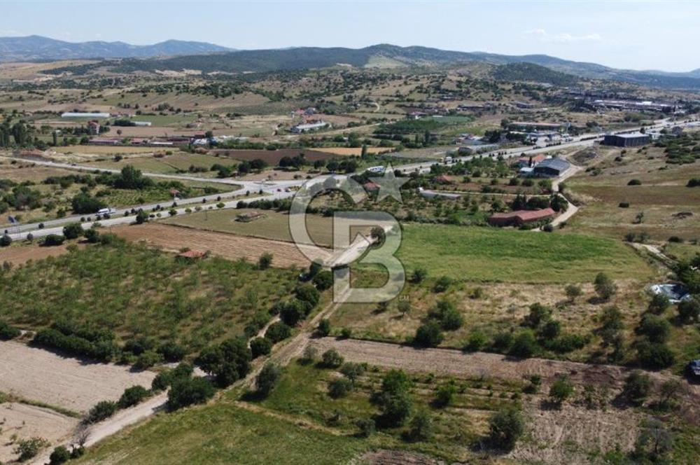 MANİSA KULA ZAFERİYE’DE 9217 m² BADEM BAHÇESİ