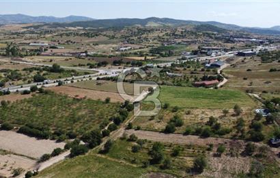 MANİSA KULA ZAFERİYE’DE 9217 m² BADEM BAHÇESİ