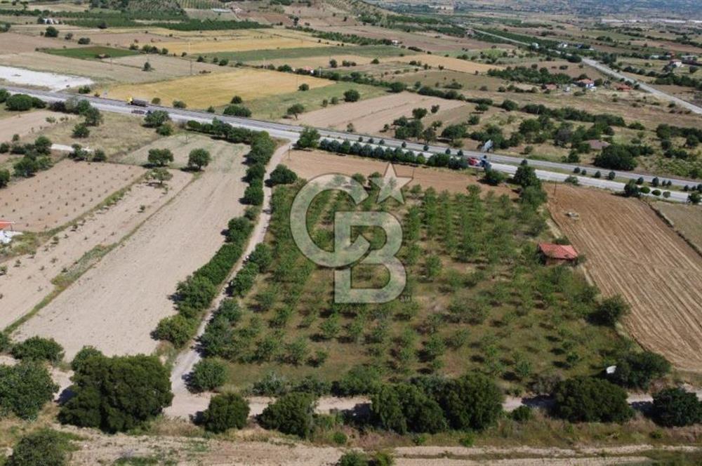 MANİSA KULA ZAFERİYE’DE 9217 m² BADEM BAHÇESİ