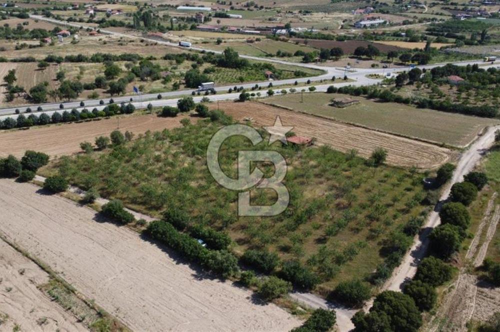 MANİSA KULA ZAFERİYE’DE 9217 m² BADEM BAHÇESİ