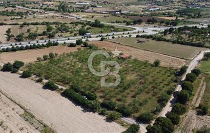 MANİSA KULA ZAFERİYE’DE 9217 m² BADEM BAHÇESİ