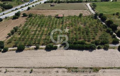 MANİSA KULA ZAFERİYE’DE 9217 m² BADEM BAHÇESİ