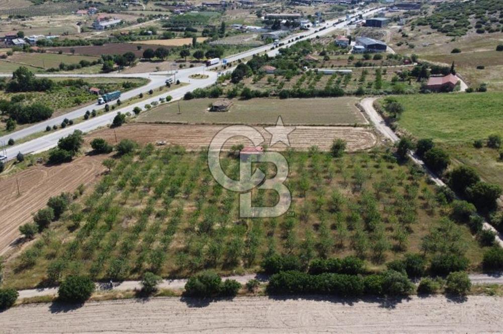 MANİSA KULA ZAFERİYE’DE 9217 m² BADEM BAHÇESİ