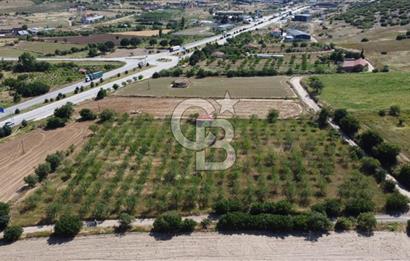 MANİSA KULA ZAFERİYE’DE 9217 m² BADEM BAHÇESİ