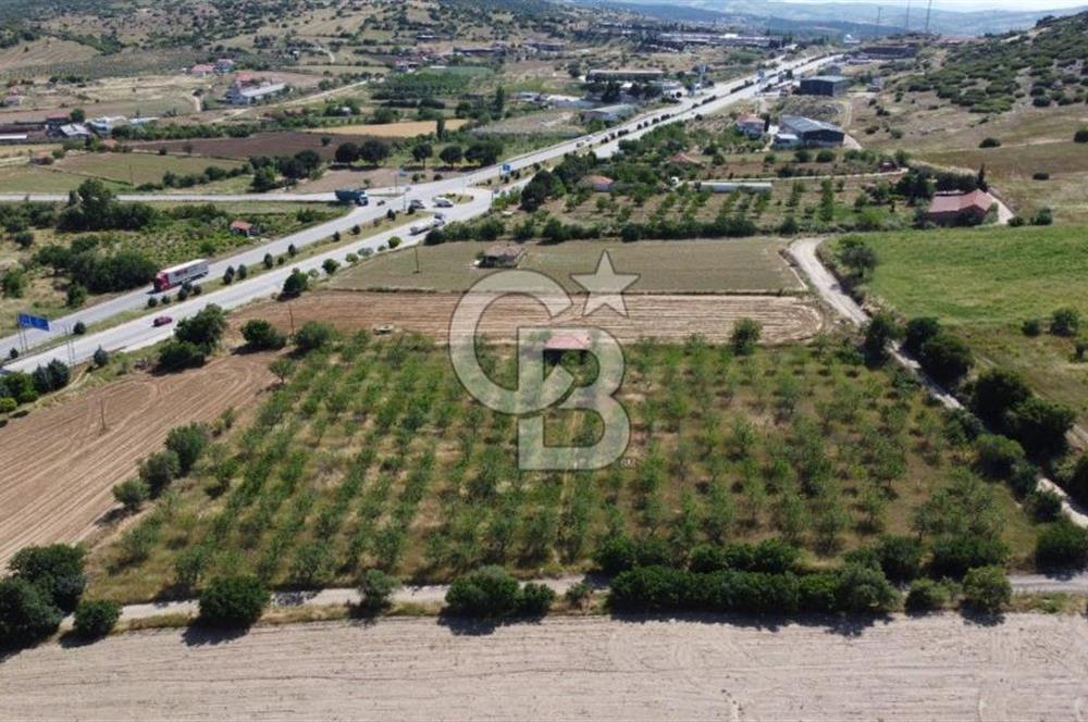 MANİSA KULA ZAFERİYE’DE 9217 m² BADEM BAHÇESİ