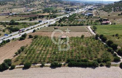 MANİSA KULA ZAFERİYE’DE 9217 m² BADEM BAHÇESİ