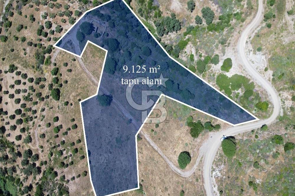 Karaburun Sarpıncık'ta 9.125 m² Satılık Tarla