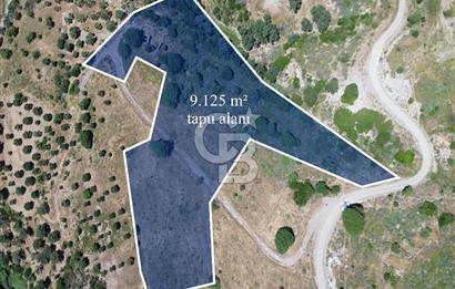Karaburun Sarpıncık'ta 9.125 m² Satılık Tarla