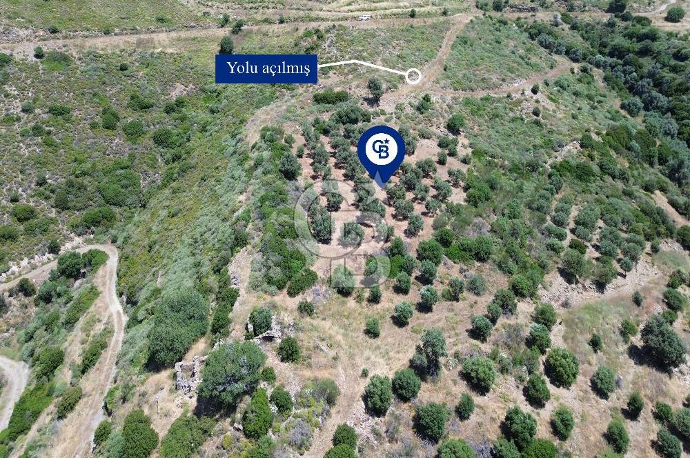 Sarpıncık'ta 5437 m² Yatırımlık Tarla&Üzüm Bağı