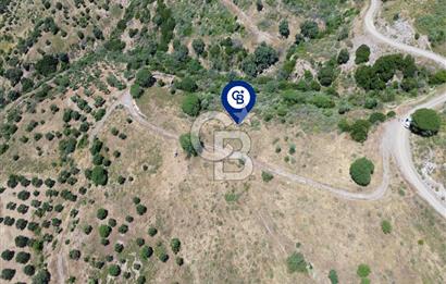 Karaburun Sarpıncık'ta 9.125 m² Satılık Tarla