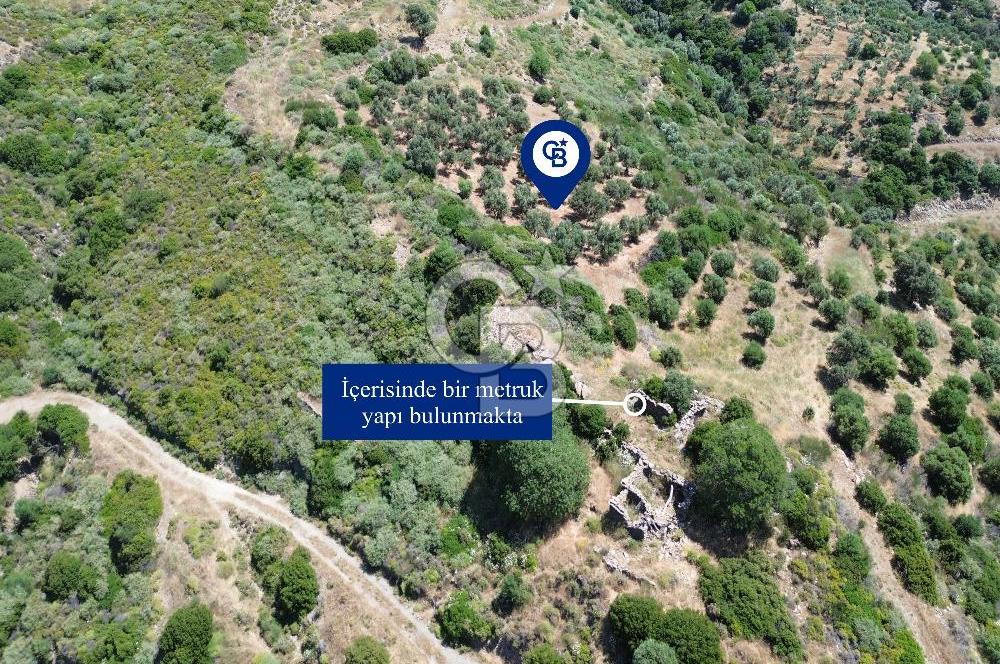 Sarpıncık'ta 5437 m² Yatırımlık Tarla&Üzüm Bağı