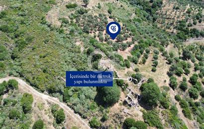 Sarpıncık'ta 5437 m² Yatırımlık Tarla&Üzüm Bağı
