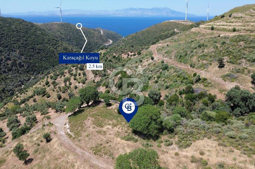 Karaburun Sarpıncık'ta 9.125 m² Satılık Tarla