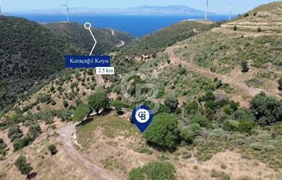 Karaburun Sarpıncık'ta 9.125 m² Satılık Tarla