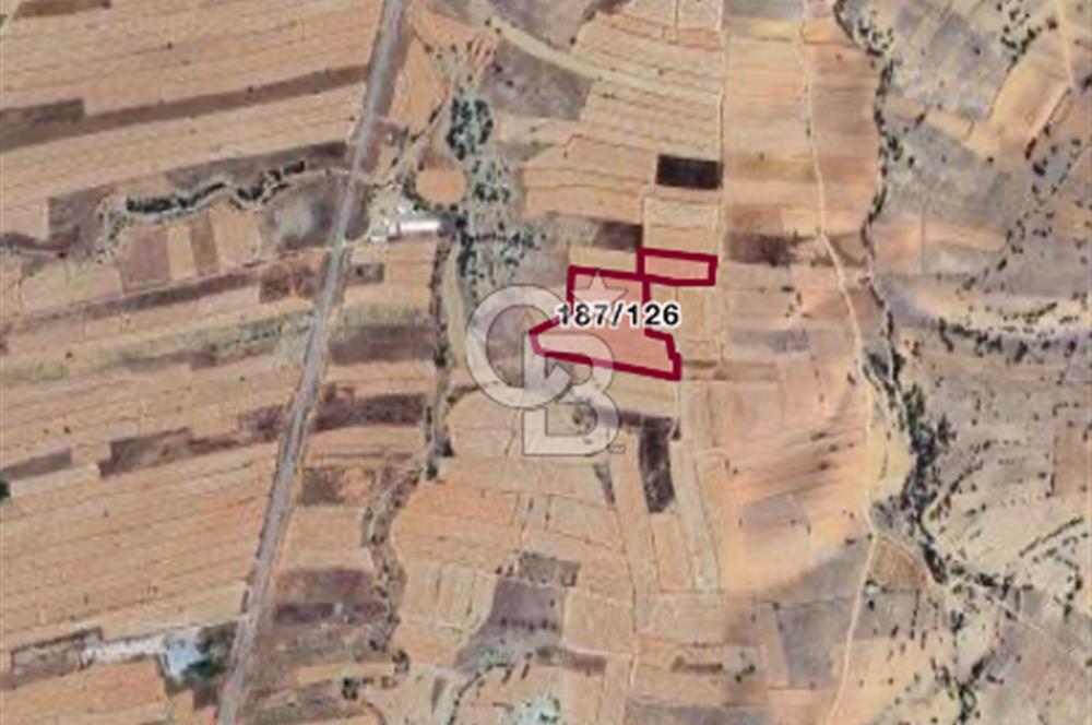 KORKUTELİ BOZOVA'DA SATILIK 23.236 M2 TARLA