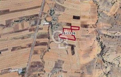 KORKUTELİ BOZOVA'DA SATILIK 23.236 M2 TARLA
