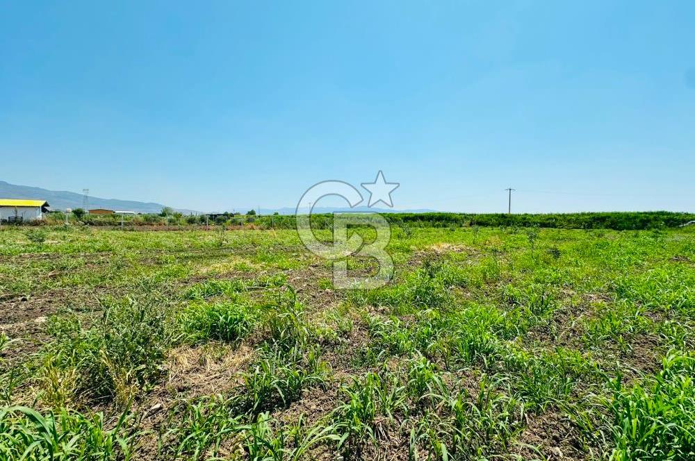 MENEMEN TÜRKELLİ SATILIK TARLA SU VE ÇİTİ MEVCUTTUR 3,300M2