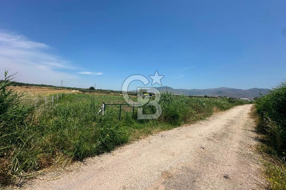 MENEMEN TÜRKELLİ SATILIK TARLA SU VE ÇİTİ MEVCUTTUR 3,300M2