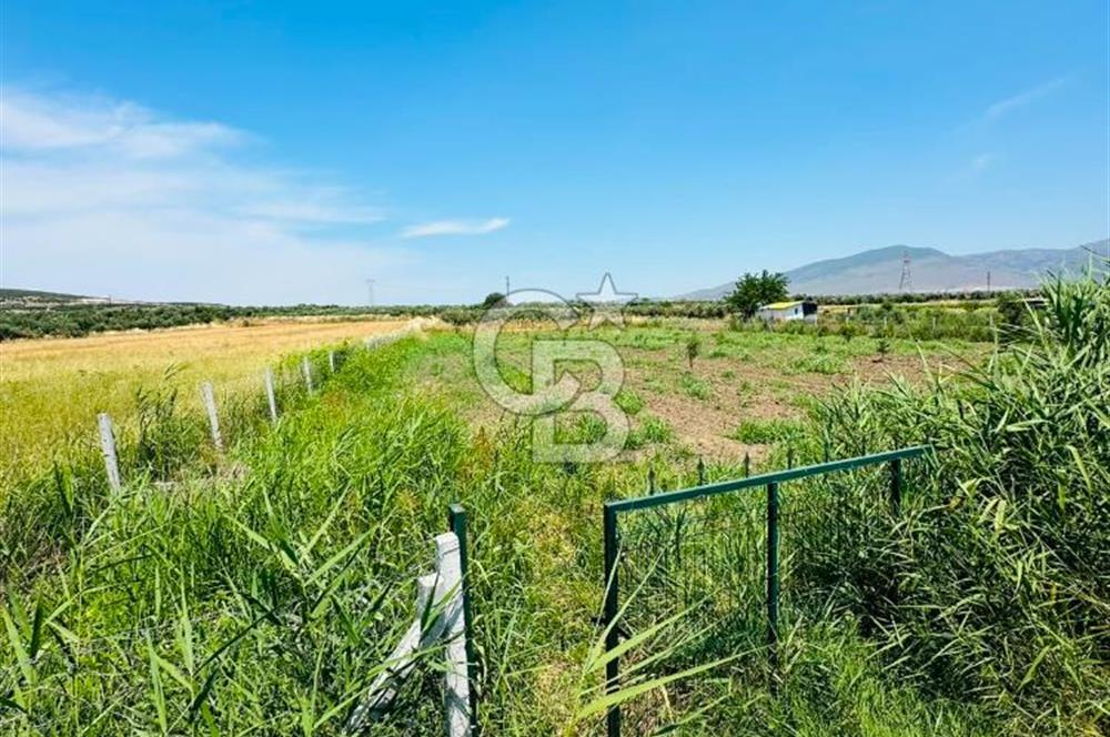 MENEMEN TÜRKELLİ SATILIK TARLA SU VE ÇİTİ MEVCUTTUR 3,300M2