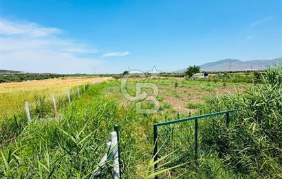 MENEMEN TÜRKELLİ SATILIK TARLA SU VE ÇİTİ MEVCUTTUR 3,300M2