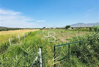 MENEMEN TÜRKELLİ SATILIK TARLA SU VE ÇİTİ MEVCUTTUR 3,300M2 - 9 - 351713