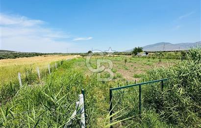 MENEMEN TÜRKELLİ SATILIK TARLA SU VE ÇİTİ MEVCUTTUR 3,300M2
