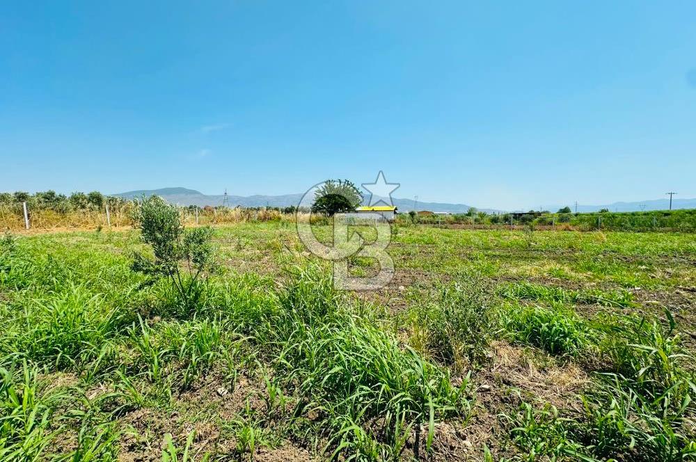MENEMEN TÜRKELLİ SATILIK TARLA SU VE ÇİTİ MEVCUTTUR 3,300M2