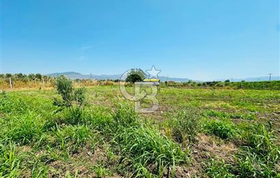 MENEMEN TÜRKELLİ SATILIK TARLA SU VE ÇİTİ MEVCUTTUR 3,300M2