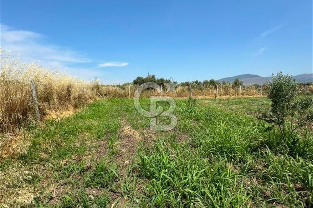 MENEMEN TÜRKELLİ SATILIK TARLA SU VE ÇİTİ MEVCUTTUR 3,300M2