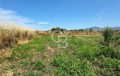 MENEMEN TÜRKELLİ SATILIK TARLA SU VE ÇİTİ MEVCUTTUR 3,300M2