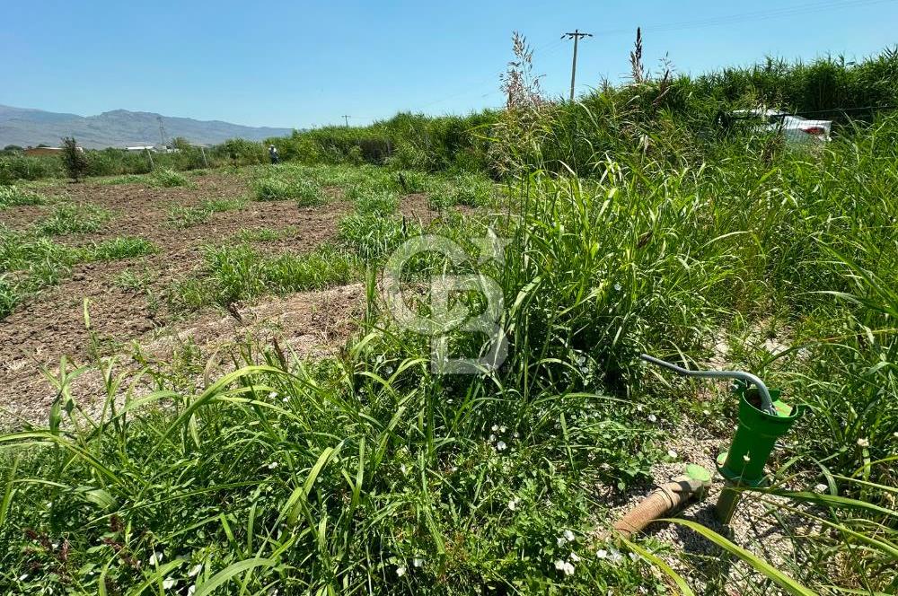 MENEMEN TÜRKELLİ SATILIK TARLA SU VE ÇİTİ MEVCUTTUR 3,300M2